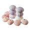 Sea Urchins 6 Pink Sea Urchin Shells 1"-2 & 6 Purple Sea Urchin Shells 2"-3" for Craft and Decor